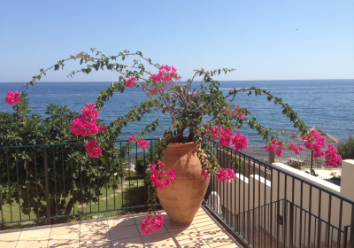 Bed And Breakfast Villa Addaura